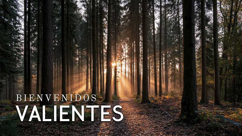 Te ayudamos a afrontar las dificultades, Psic&oacute;logos en Madrid