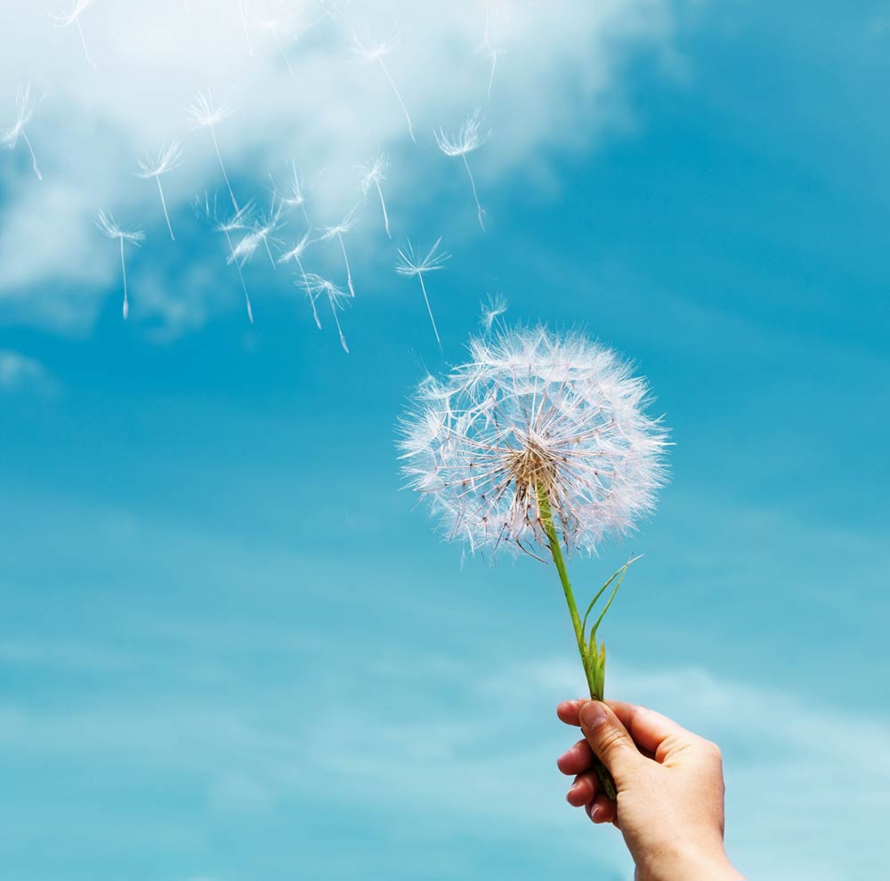 Acompañamiento terapéutico en el duelo